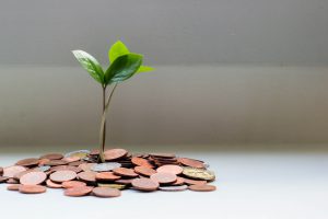 plant growing surrounded by coins